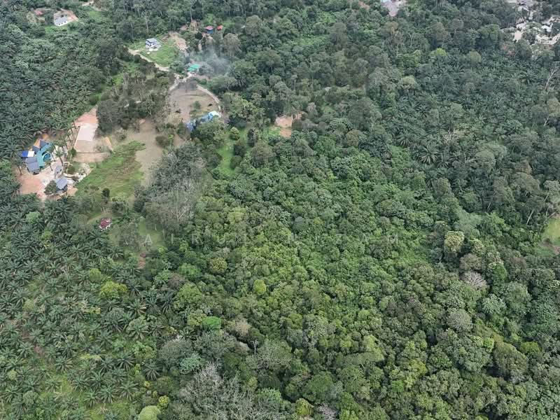Tanah Pertanian untuk Dijual di Kota Tinggi (Johor) - AIRUL NIZAM - Exterior - PropertyGuru.com.my