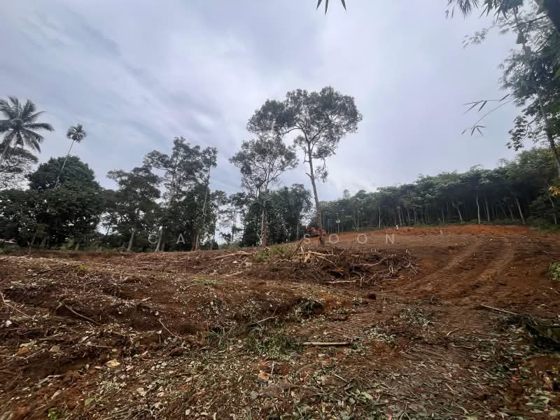 Agricultural Land for Rent in Hulu Langat (Selangor) - Candy Soon - Exterior - PropertyGuru.com.my