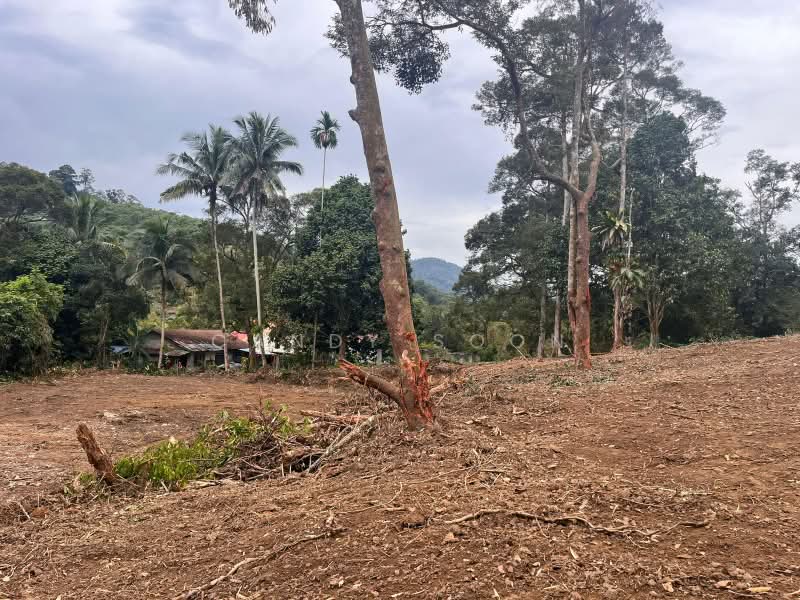 Agricultural Land for Rent in Hulu Langat (Selangor) - Candy Soon - Exterior - PropertyGuru.com.my