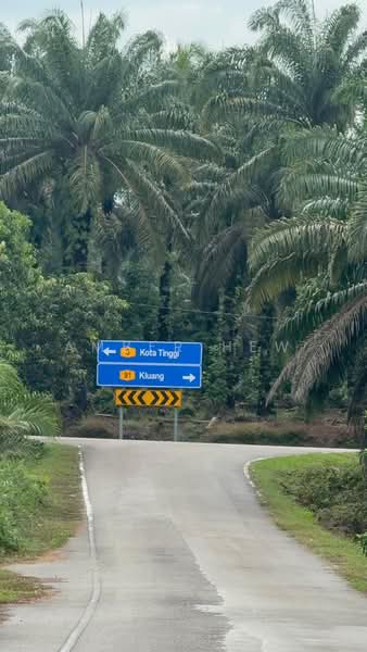 Tanah Pertanian untuk Dijual di Kampung Bukit Samsu (Kota Tinggi) - Amber Hew - PropertyGuru.com.my