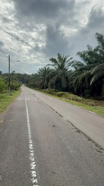 Tanah Pertanian untuk Dijual di Kampung Bukit Samsu (Kota Tinggi) - Amber Hew - PropertyGuru.com.my
