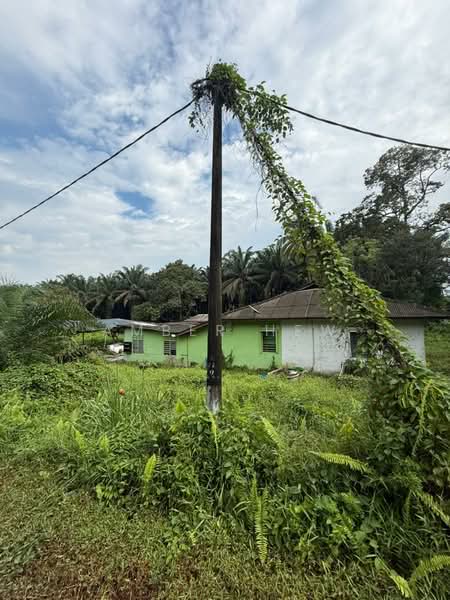 Tanah Pertanian untuk Dijual di Kampung Bukit Samsu (Kota Tinggi) - Amber Hew - PropertyGuru.com.my