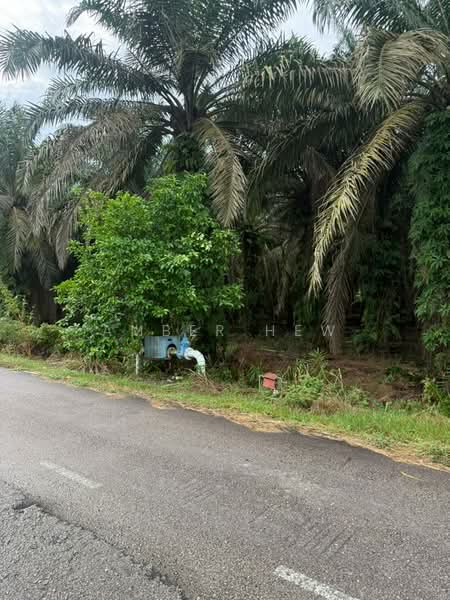 Tanah Pertanian untuk Dijual di Kampung Bukit Samsu (Kota Tinggi) - Amber Hew - PropertyGuru.com.my