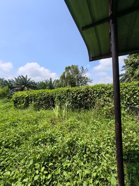 Tanah Pertanian untuk Dijual di Kampung Bukit Samsu (Kota Tinggi) - Amber Hew - PropertyGuru.com.my