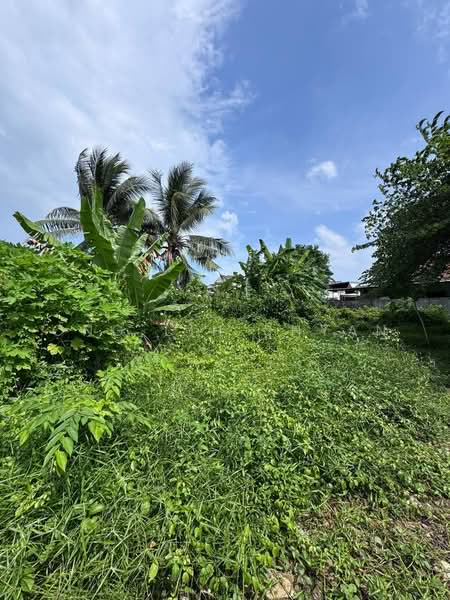 Others for Sale in Pontian (Johor) - Ong Lih Shyan - Garden - PropertyGuru.com.my