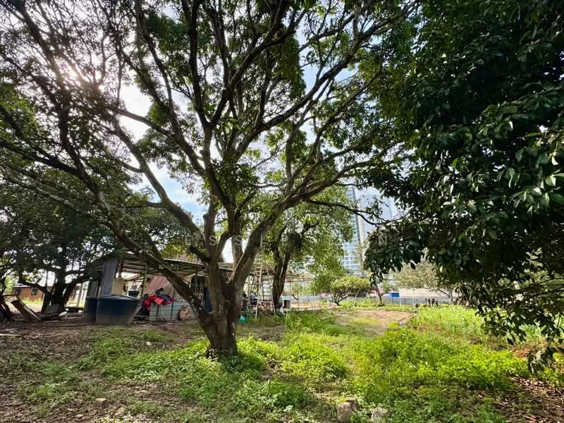 Agricultural Land for Sale in Iskandar Puteri (Nusajaya) (Johor) - Jessie Tan - Exterior - PropertyGuru.com.my