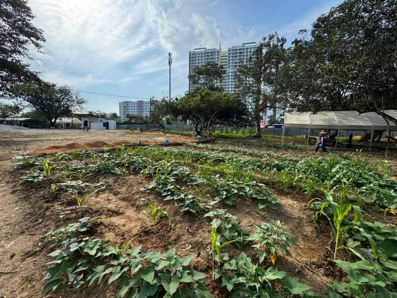 Agricultural Land for Sale in Iskandar Puteri (Nusajaya) (Johor) - Jessie Tan - Garden - PropertyGuru.com.my