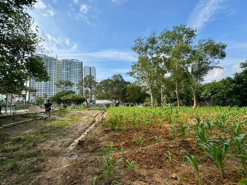 Agricultural Land for Sale in Iskandar Puteri (Nusajaya) (Johor) - Jessie Tan - Exterior - PropertyGuru.com.my