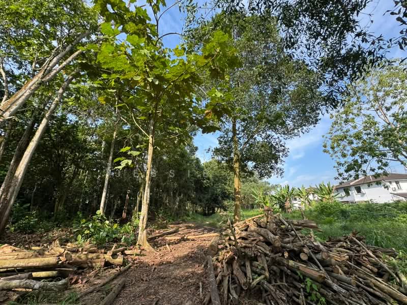 Agricultural Land for Sale in Iskandar Puteri (Nusajaya) (Johor) - Jessie Tan - Exterior - PropertyGuru.com.my