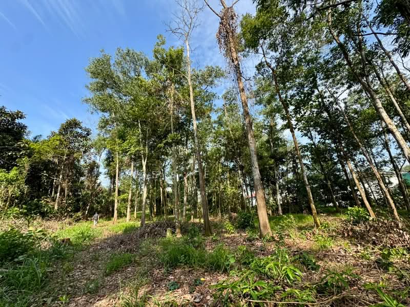 Agricultural Land for Sale in Iskandar Puteri (Nusajaya) (Johor) - Jessie Tan - Exterior - PropertyGuru.com.my
