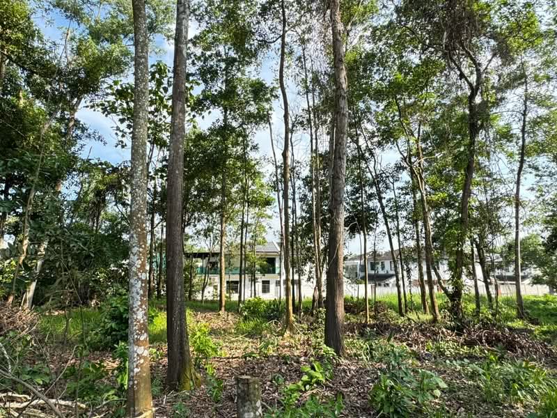 Agricultural Land for Sale in Iskandar Puteri (Nusajaya) (Johor) - Jessie Tan - Exterior - PropertyGuru.com.my