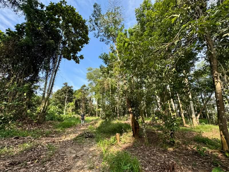 Agricultural Land for Sale in Iskandar Puteri (Nusajaya) (Johor) - Jessie Tan - Exterior - PropertyGuru.com.my