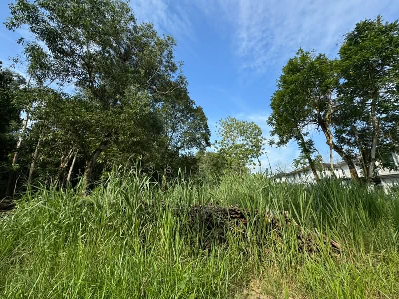 Agricultural Land for Sale in Iskandar Puteri (Nusajaya) (Johor) - Jessie Tan - Exterior - PropertyGuru.com.my
