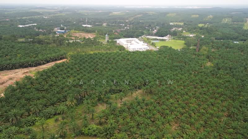 Tanah Pertanian untuk Dijual di kulai sedenak (Kulai) - Darren Tew - PropertyGuru.com.my