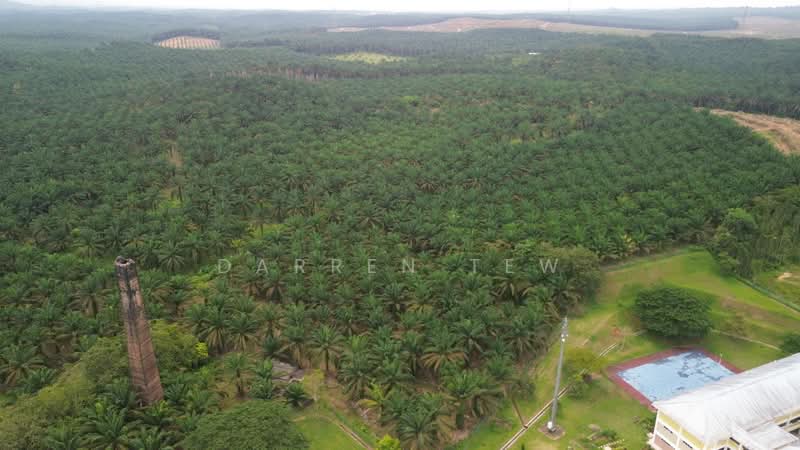 Tanah Pertanian untuk Dijual di kulai sedenak (Kulai) - Darren Tew - PropertyGuru.com.my