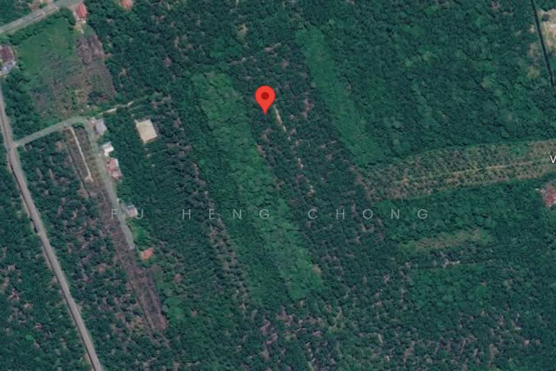 Tanah Pertanian untuk Dijual di Pontian (Johor) - Fu Heng Chong - PropertyGuru.com.my