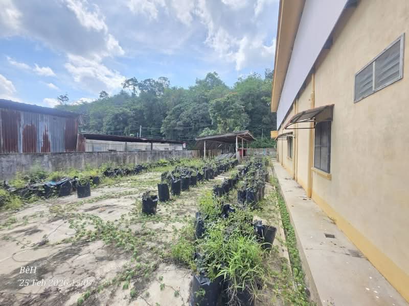 Tanah Komersial untuk Dijual di Penjom (Pahang) - Nik Hazizullah - PropertyGuru.com.my