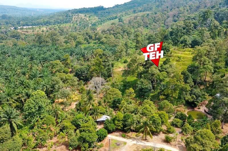 Tanah Kediaman untuk Dijual di Bukit Mertajam (Penang) - Teh Guan Fong - Garden - PropertyGuru.com.my