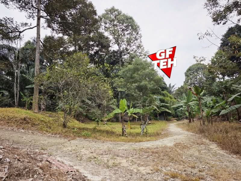 Tanah Kediaman untuk Dijual di Bukit Mertajam (Penang) - Teh Guan Fong - Exterior - PropertyGuru.com.my