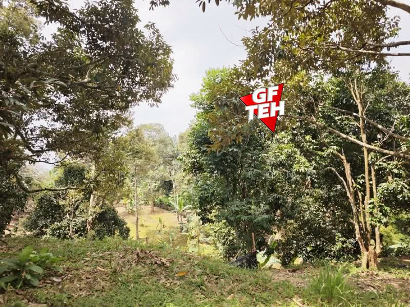 Tanah Kediaman untuk Dijual di Bukit Mertajam (Penang) - Teh Guan Fong - Exterior - PropertyGuru.com.my