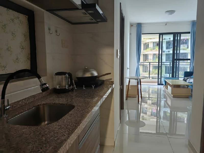 Apartment for Sale at Regalia Park @ Forest City - Kelly Chen - Kitchen - PropertyGuru.com.my
