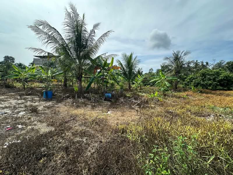 Tanah Pertanian untuk Dijual di Simpang Pulai (Perak) - Gary Tang - Exterior - PropertyGuru.com.my