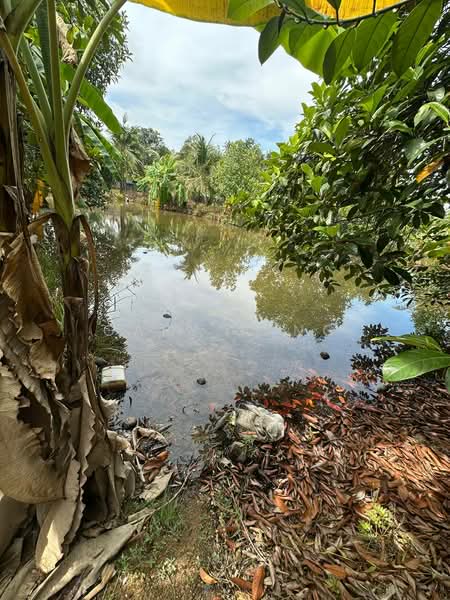 Tanah Pertanian untuk Dijual di Simpang Pulai (Perak) - Gary Tang - Exterior - PropertyGuru.com.my