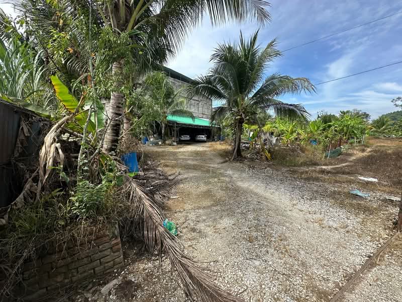 Tanah Pertanian untuk Dijual di Simpang Pulai (Perak) - Gary Tang - Exterior - PropertyGuru.com.my
