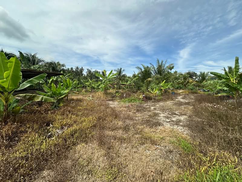 Tanah Pertanian untuk Dijual di Simpang Pulai (Perak) - Gary Tang - Exterior - PropertyGuru.com.my