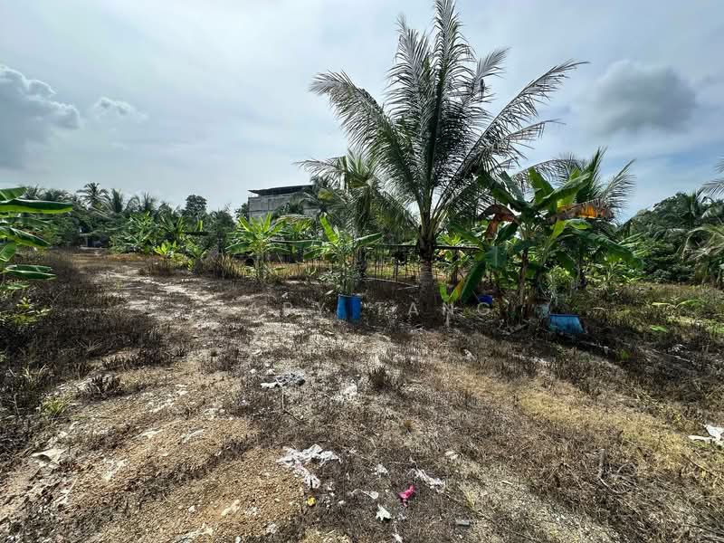 Tanah Pertanian untuk Dijual di Simpang Pulai (Perak) - Gary Tang - Exterior - PropertyGuru.com.my