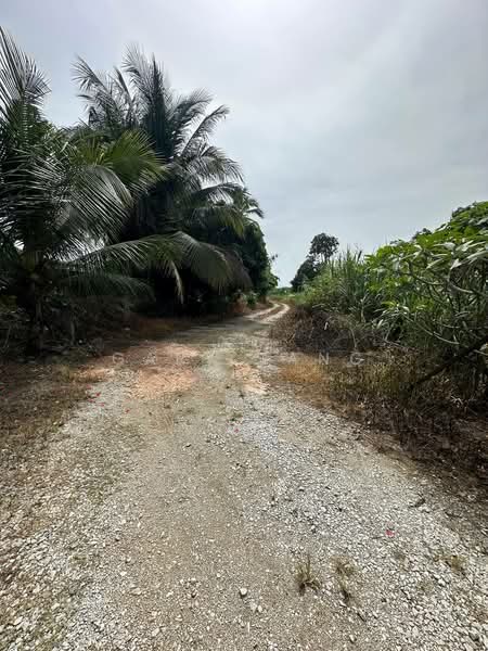 Tanah Pertanian untuk Dijual di Simpang Pulai (Perak) - Gary Tang - Exterior - PropertyGuru.com.my