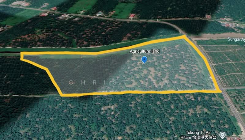 Tanah Pertanian untuk Dijual di Pontian (Johor) - Chris Liew - PropertyGuru.com.my