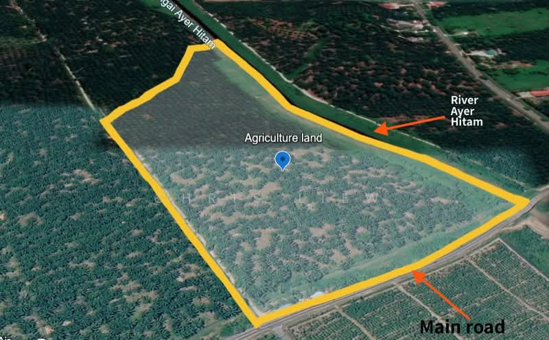 Tanah Pertanian untuk Dijual di Pontian (Johor) - Chris Liew - Exterior - PropertyGuru.com.my