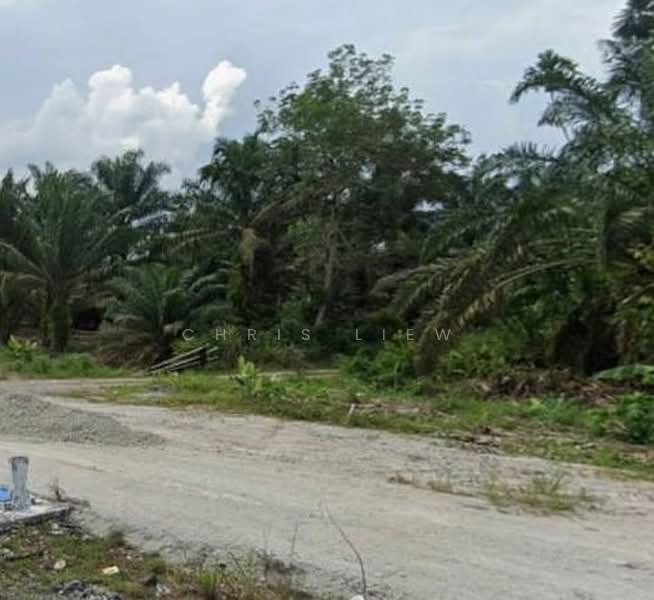 Tanah Pertanian untuk Dijual di Pontian (Johor) - Chris Liew - Exterior - PropertyGuru.com.my