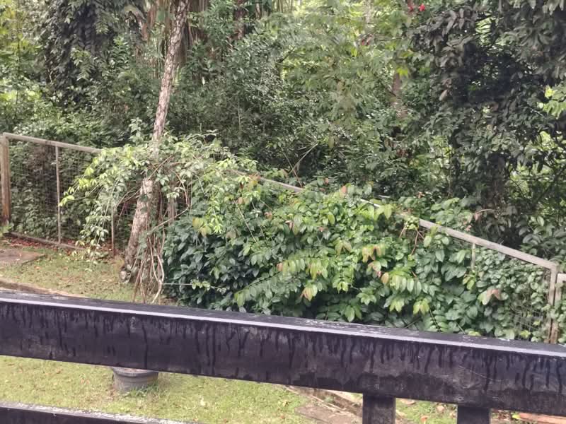 Pangsapuri untuk Dijual di Meranti Apartment - Emily Yap - Balcony facing greenery - PropertyGuru.com.my