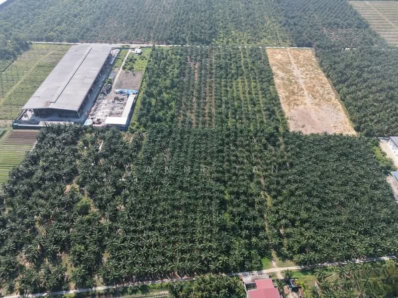 Industrial Land for Sale in Taman Kapar (Kapar) - Joanne Tan - Exterior - PropertyGuru.com.my