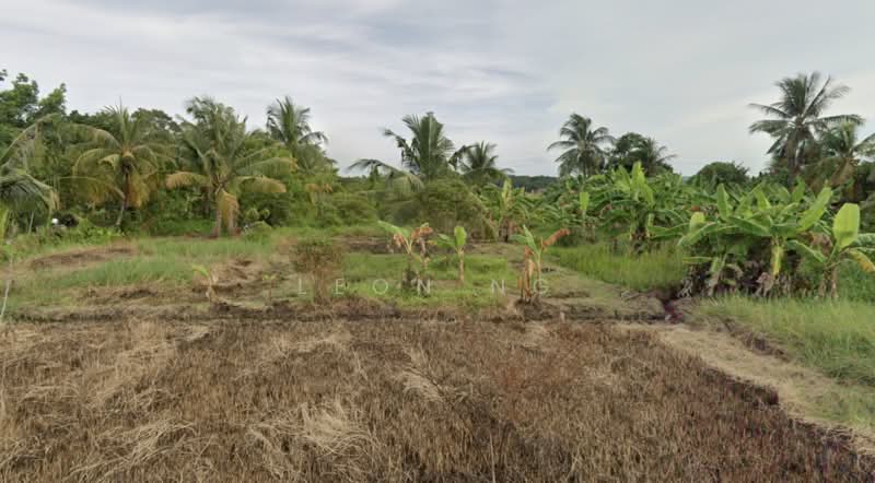 Tanah Pertanian untuk Dijual di Juru (Bukit Mertajam) - Leon Ng - Exterior - PropertyGuru.com.my