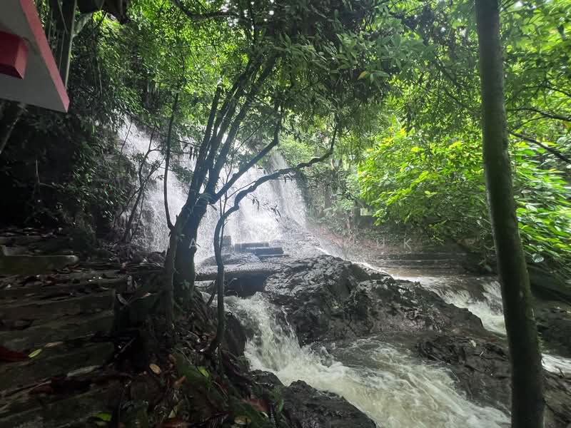 Tanah Pertanian untuk Dijual di Bandar Raub Perdana (Raub) - Sia Yiik Luk - PropertyGuru.com.my