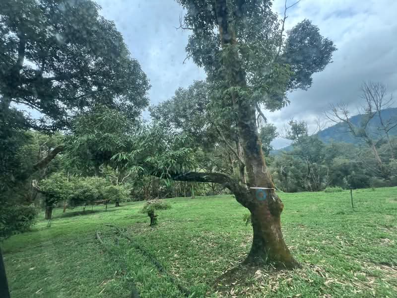 Tanah Pertanian untuk Dijual di Bandar Raub Perdana (Raub) - Sia Yiik Luk - PropertyGuru.com.my