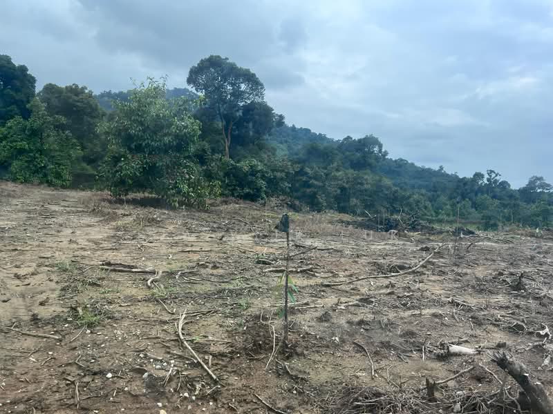 Tanah Pertanian untuk Dijual di Bandar Raub Perdana (Raub) - Sia Yiik Luk - PropertyGuru.com.my