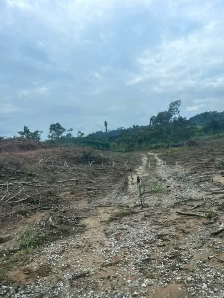 Tanah Pertanian untuk Dijual di Bandar Raub Perdana (Raub) - Sia Yiik Luk - PropertyGuru.com.my