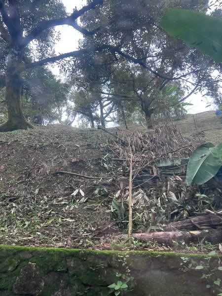Tanah Pertanian untuk Dijual di Bandar Raub Perdana (Raub) - Sia Yiik Luk - PropertyGuru.com.my