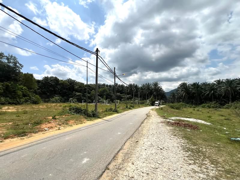 Agricultural Land for Sale in Kuang (Selangor) - Keanu Tan - Exterior - PropertyGuru.com.my