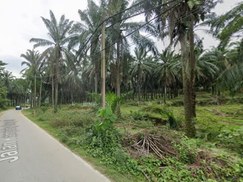 Agricultural Land for Sale in Kuang (Selangor) - Keanu Tan - Exterior - PropertyGuru.com.my