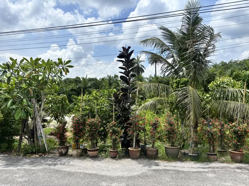 Tanah Kediaman untuk Dijual di Teluk Intan (Perak) - Fennie Tee - Exterior - PropertyGuru.com.my