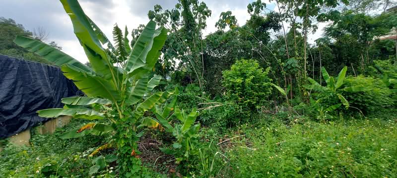 Tanah Kediaman untuk Dijual di Ampang (Kuala Lumpur) - Michele Lum - Garden - PropertyGuru.com.my