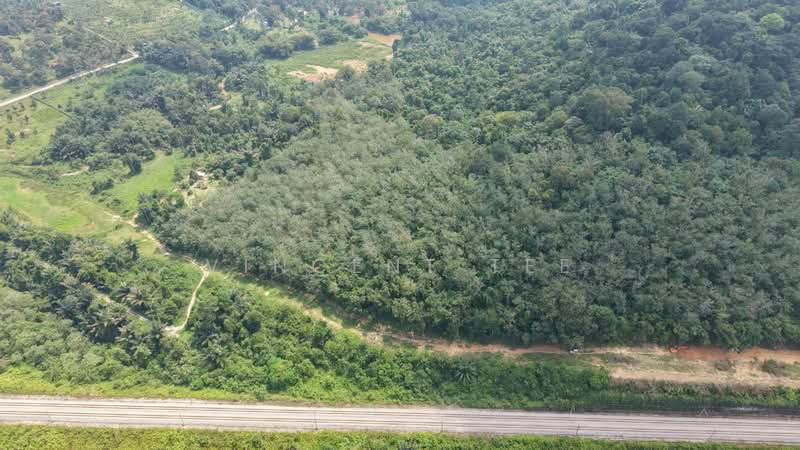 Agricultural Land for Sale in Alor Gajah (Melaka) - Vincent Tee - Exterior - PropertyGuru.com.my