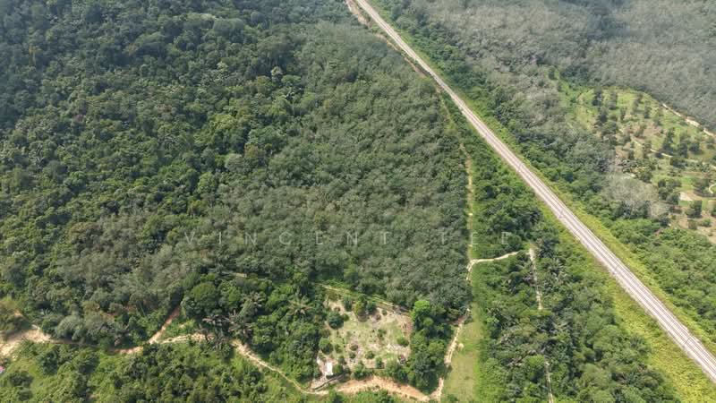 Agricultural Land for Sale in Alor Gajah (Melaka) - Vincent Tee - Exterior - PropertyGuru.com.my