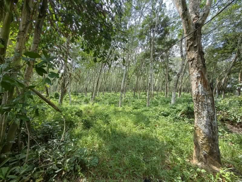 Agricultural Land for Sale in Alor Gajah (Melaka) - Vincent Tee - Exterior - PropertyGuru.com.my