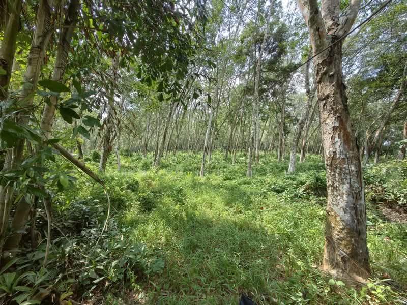 Agricultural Land for Sale in Alor Gajah (Melaka) - Vincent Tee - Garden - PropertyGuru.com.my